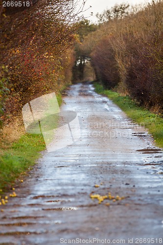 Image of landscape and street in autumn spring outdoor 