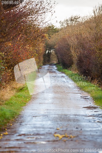 Image of landscape and street in autumn spring outdoor 