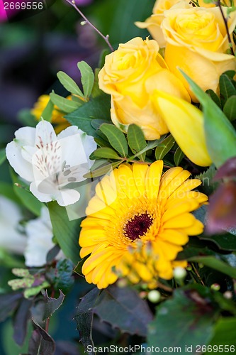 Image of Background of colourful vivid summer flowers