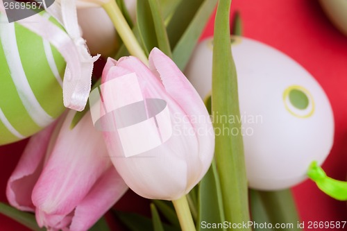 Image of beautiful easter egg decoration colorfull eggs seasonal pastel 