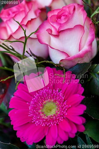 Image of Background of colourful vivid summer flowers