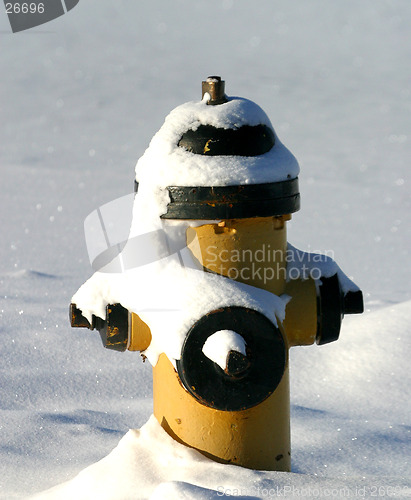 Image of fire hydrant covered in snow