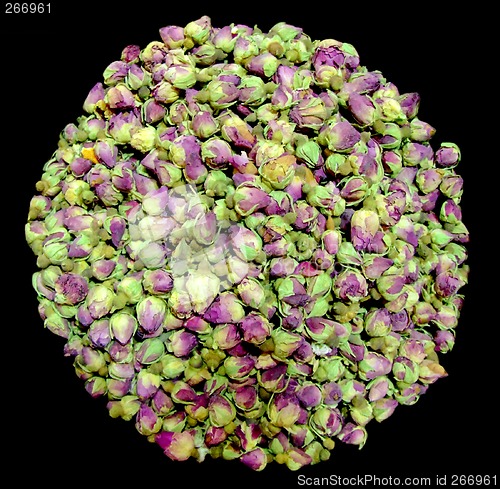 Image of Aroma rosebud