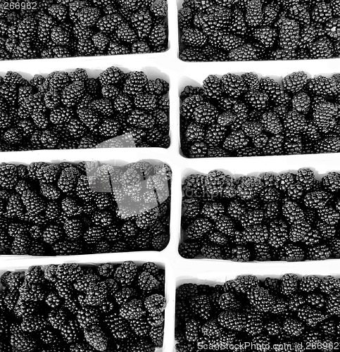 Image of Blackberry
