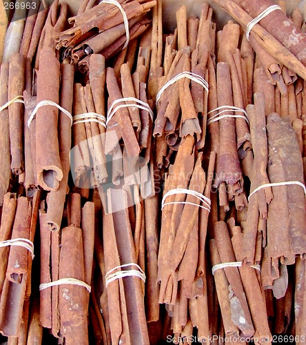 Image of Cinnamon