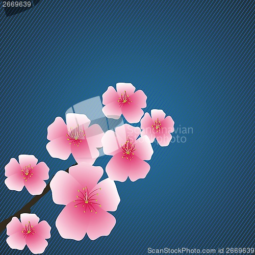 Image of pink flowers