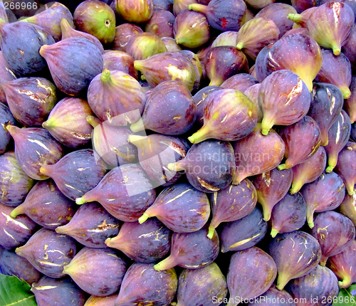 Image of Fresh figs