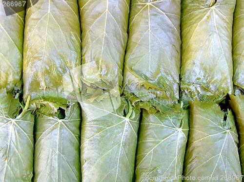 Image of Grape leafs