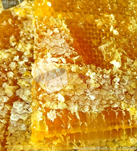 Image of Honeycomb