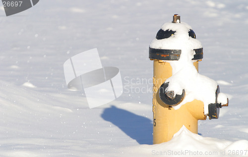 Image of fire hydrant in the snow