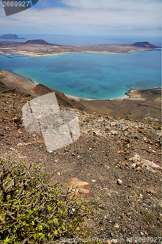 Image of flower spain miramar   sky cloud beach    in lanzarote  