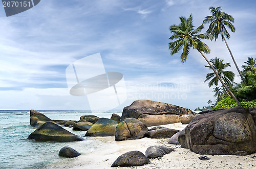 Image of Spectacular  palm-fringed  beach of tropical island