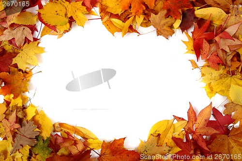 Image of autumnal leaves background