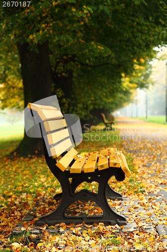 Image of bench in the autumn 