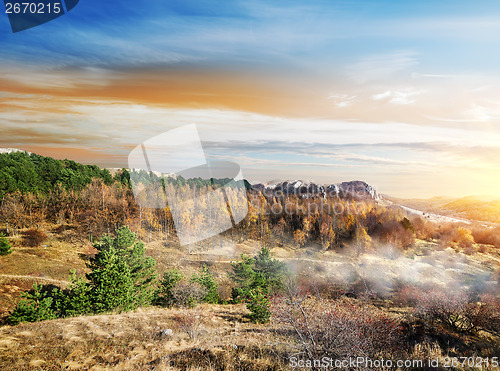 Image of Fog in the canyon