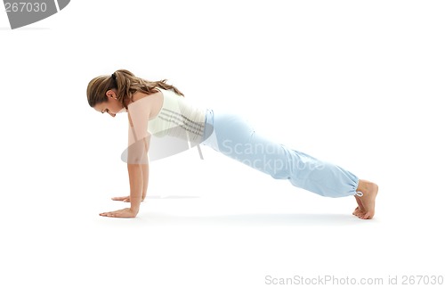 Image of chaturanga dandasana four-limbed staff pose