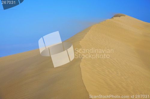 Image of Desert Wind