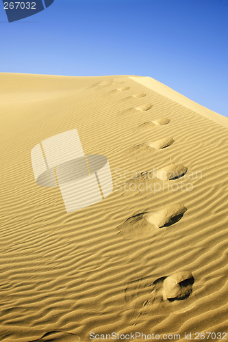 Image of Desert Footprints