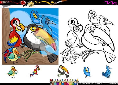 Image of exotic birds cartoon coloring page set