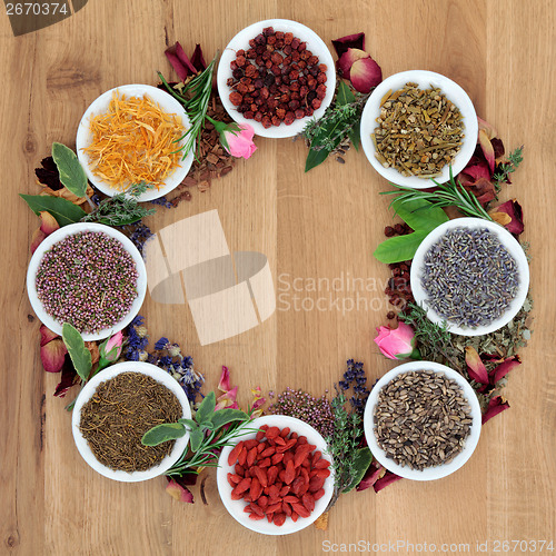 Image of  Herbal Medicine