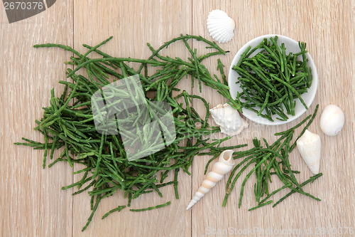 Image of Samphire