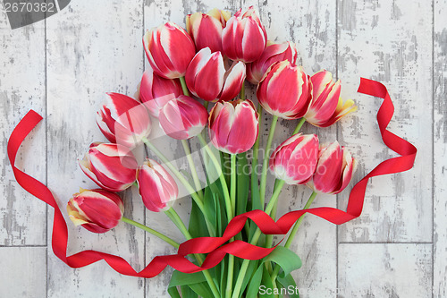 Image of Red Tulip Flowers