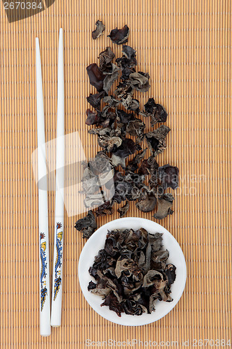Image of Black Fungus