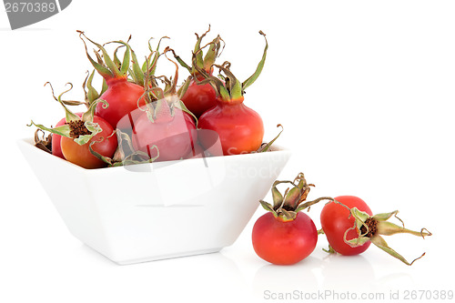 Image of Rose Hip Fruit