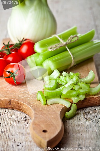 Image of fresh organic fennel, celery and tomatoes 