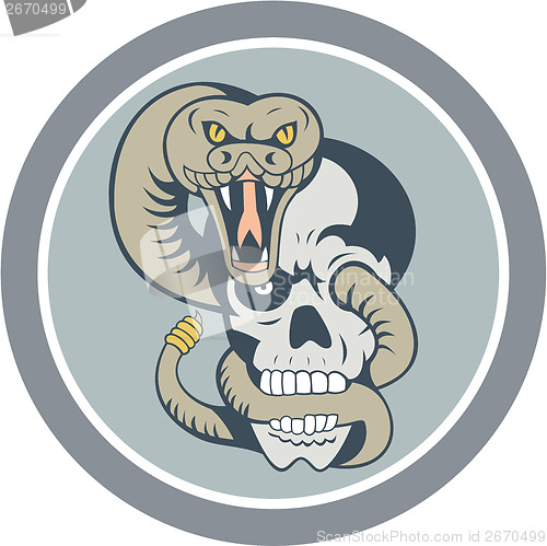 Image of Rattle Snake Curling Around Skull Cartoon