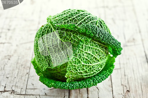 Image of fresh savoy cabbage 