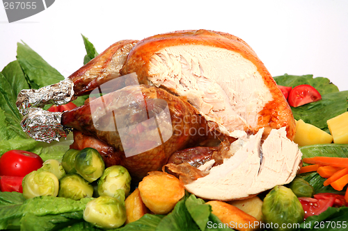 Image of Holiday turkey