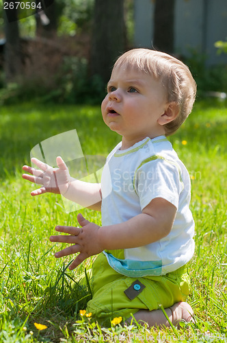 Image of Cute baby boy sitting on the grass