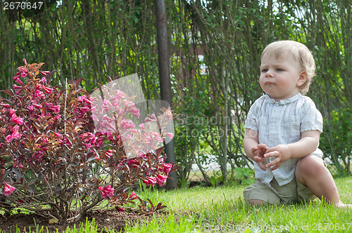 Image of Little baby boy near pink bush