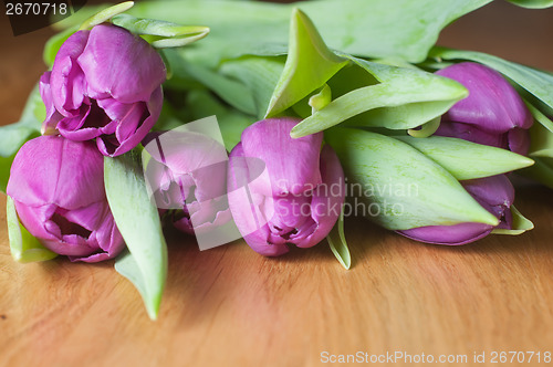 Image of Violet tulips on the table
