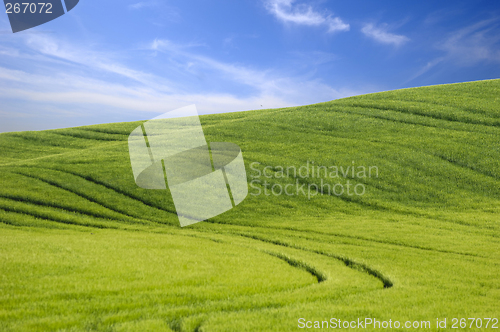 Image of Green hill and blue sky