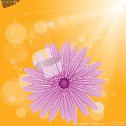 Image of pink flower on sun background