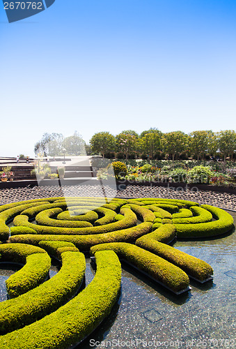 Image of Garden Maze