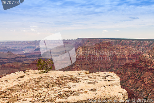 Image of Grand Canyon