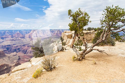 Image of Grand Canyon