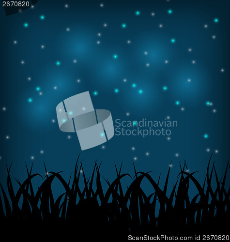 Image of Night sky with grass field