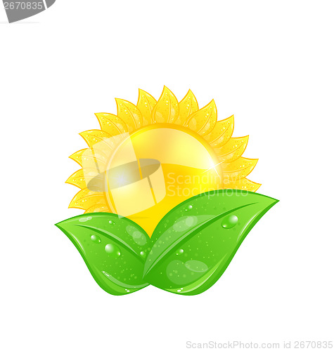 Image of Eco friendly icon with sun and green leaves, isolated on white b