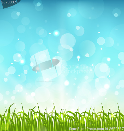 Image of Summer nature background with grass