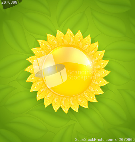 Image of Abstract sun on green leaves texture, eco friendly background