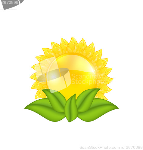 Image of Abstract sun with green leaves, isolated on white background