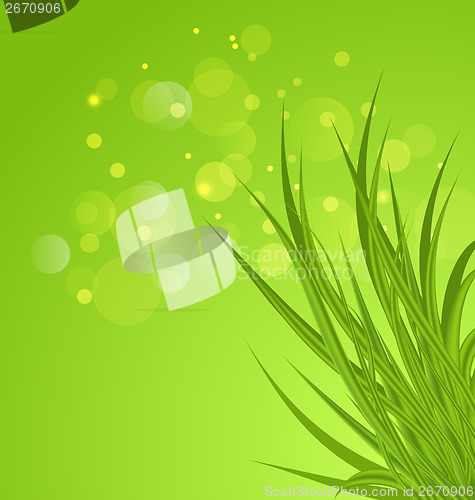 Image of Spring background background with green grass
