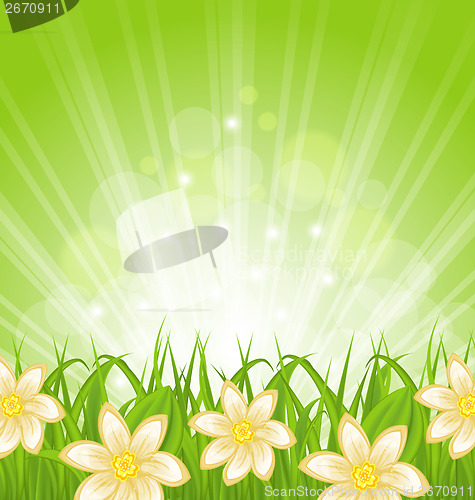 Image of Spring background with green grass and flowers