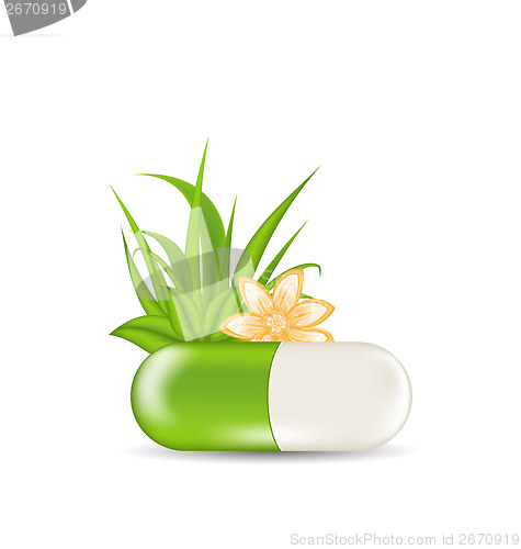 Image of Natural medical pill with flower, leaves, grass, isolated on whi