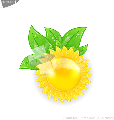 Image of Abstract sun with green leaves, isolated on white background