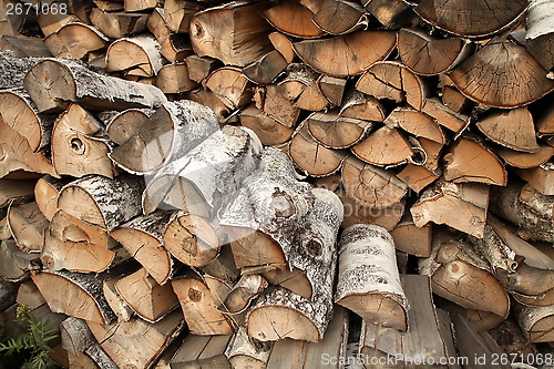 Image of birch firewood 